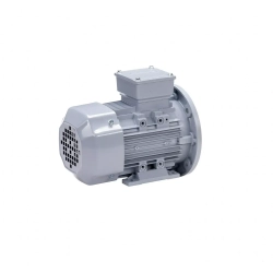 Электродвигатель ESQ PR 355 MA6-SDN-Б1-S12-IE3 160/1000 IMB35