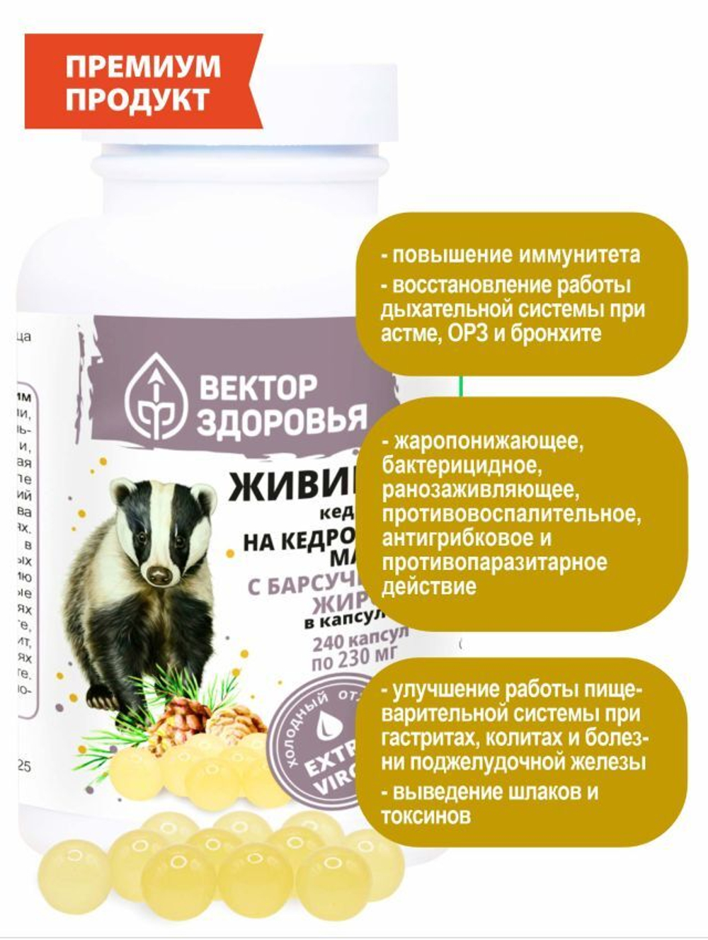 Живица кедровая на кедровом масле с барсучьим жиром 240 капсул