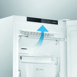 Морозильная камера Indesit DFZ 4150.1