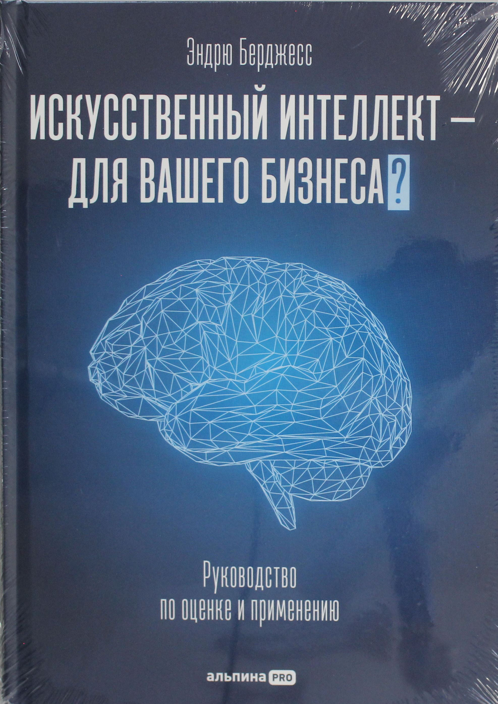 Искусственный интеллект - для вашего бизнеса : Руководство по оценке и применению