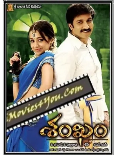 Тайное сокровище (2009) (DVD-R)