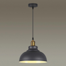 Подвесной светильник Odeon Light 3366/1
