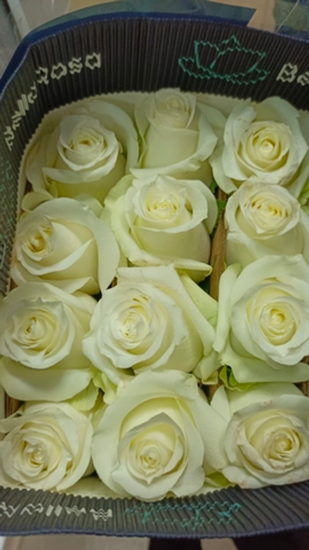 Широкий ассортимент свежих цветов!