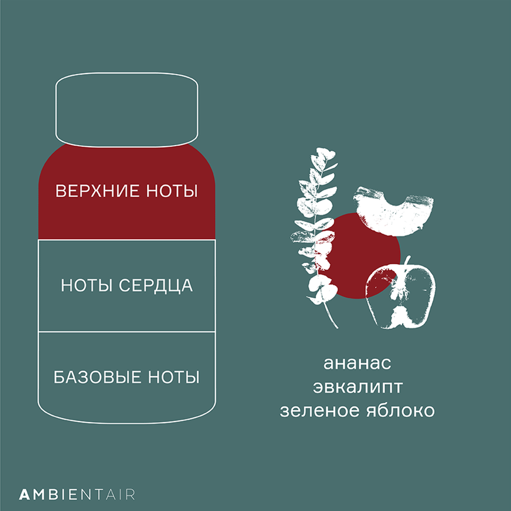 Диффузор ароматический gifting, Корица и яблоко, 100 мл
