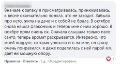 Устойчивость (ex. 2020)