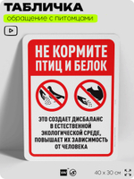 Табличка "Не кормите птиц и белок" на дверь и забор, для двора, дома, подъезда, 40х30 см, Silver Plane x Айдентика Технолоджи