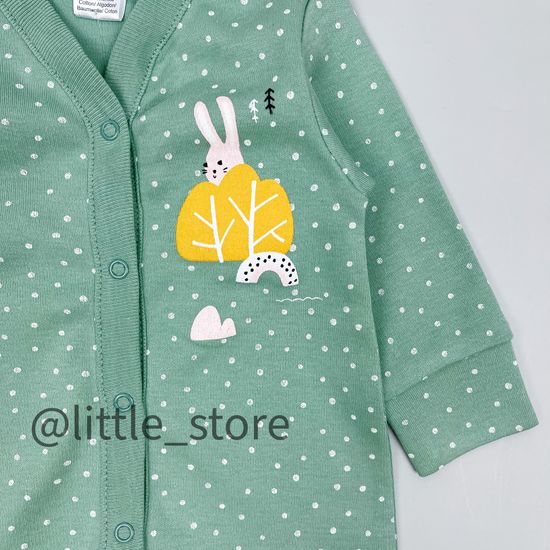 Слип хлопковый "Домик в лесу" горошки на пыльной мяте