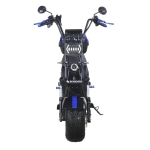 Электроскутер Skyboard BR30-2WD (Ural)
