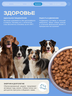 Корм для взрослых собак породы Лабрадор-ретривер, с лососем, 12 кг, QUATTRO