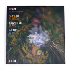 Винил "В цвете" (Strings Orchestra Studio Live) 2 LP (черный)