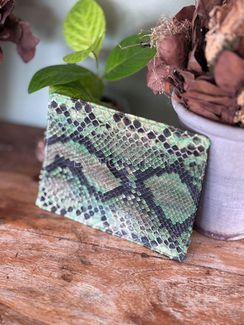 Обложка на паспорт из кожи питона AC-143