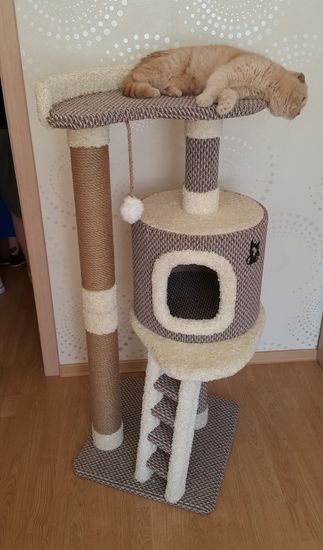 Когтеточка Н-71