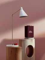 Умная колонка Яндекс.Станция Макс (с Алисой, с Zigbee) Красный