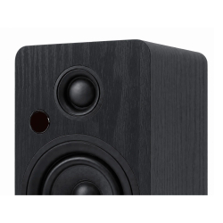 Полочная акустика Premiera RS-301A Black