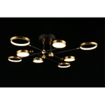 Потолочная светодиодная люстра Aployt Ines APL.043.07.65