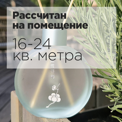 Диффузор ароматический для дома с тростниковыми палочками ПЕРВЫЙ СНЕГ
