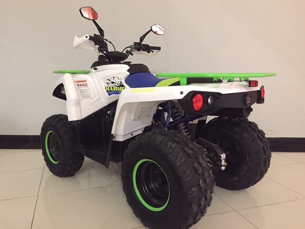 MOTAX ATV Grizlik 200 NEW