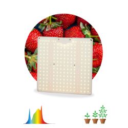 Квантум борд ЭРА FITO-80W-LED-QB Quantum board фитопрожектор полного спектра 80 Вт 3500К | Квантум борды (Quantum board)