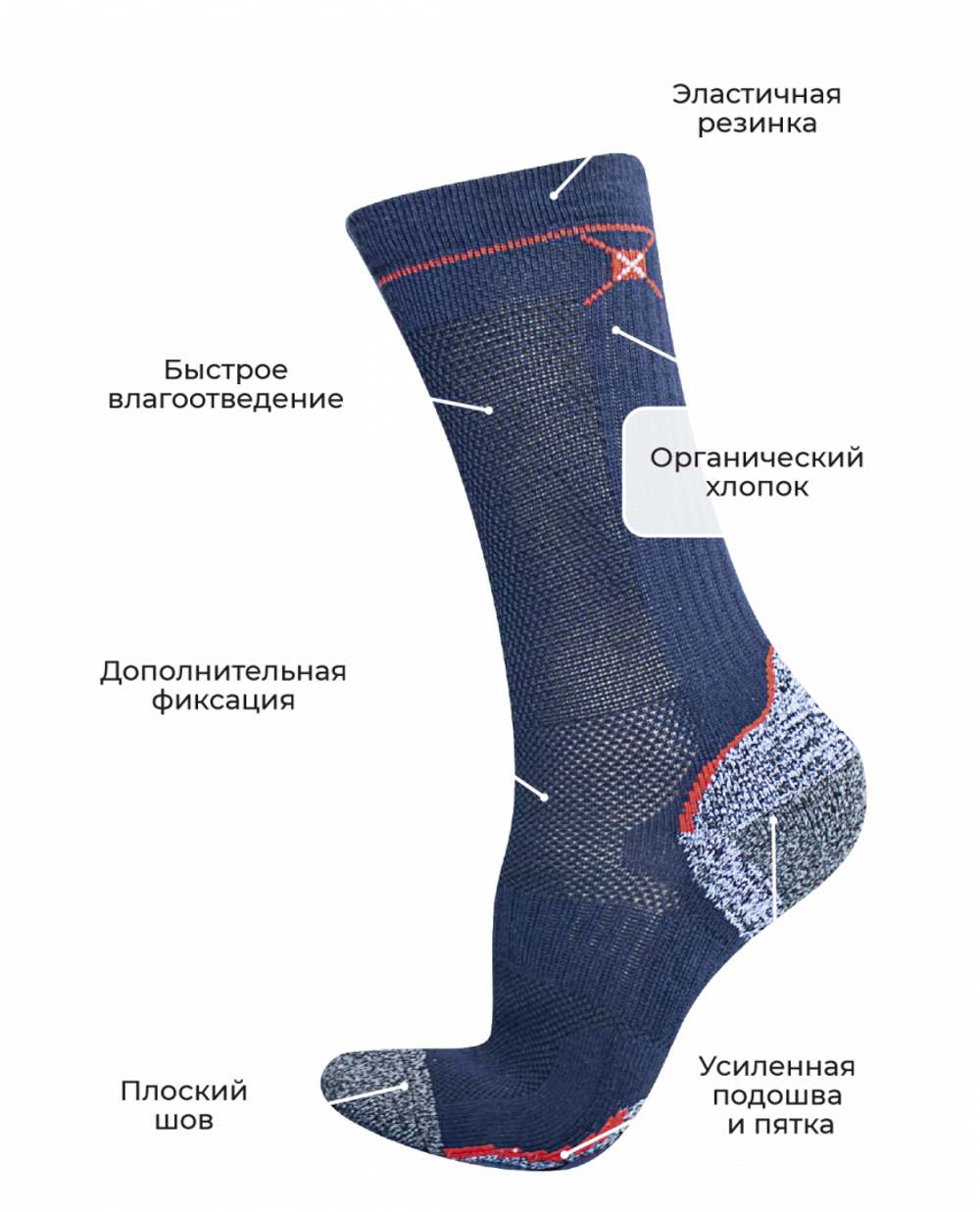 носки TALBERG, Trek Pro Organic +15°C, цвет синий, размер 43-46