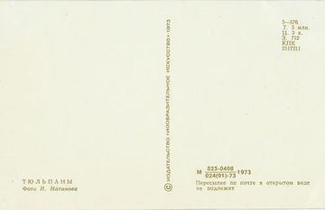 Открытка (почтовое вложение) "Тюльпаны" фото Н. Матанова