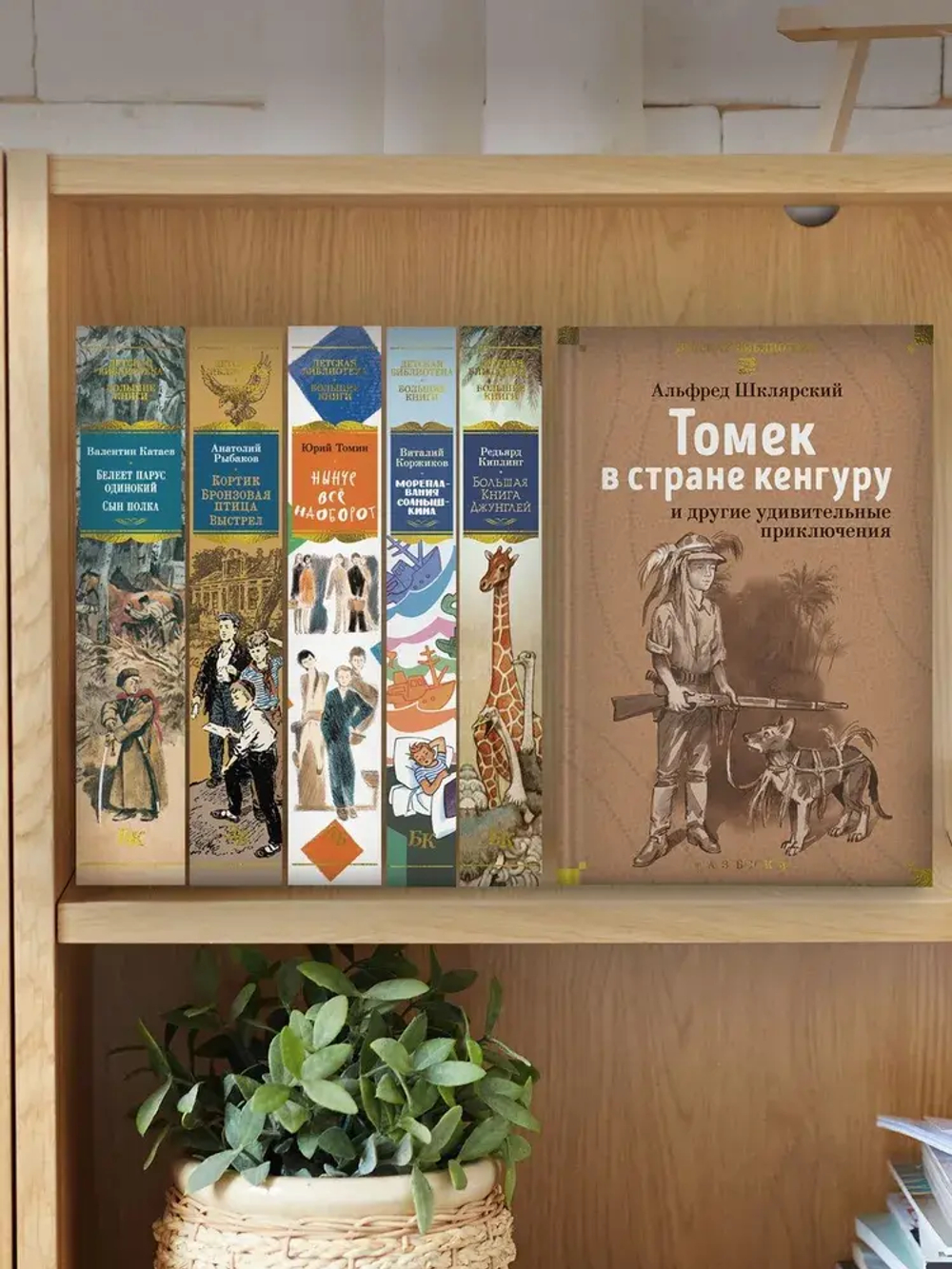 Томек в стране кенгуру и другие удивительные приключения