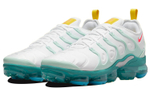 Кроссовки Nike Vapormax Plus Since 1972, DQ7645-100
