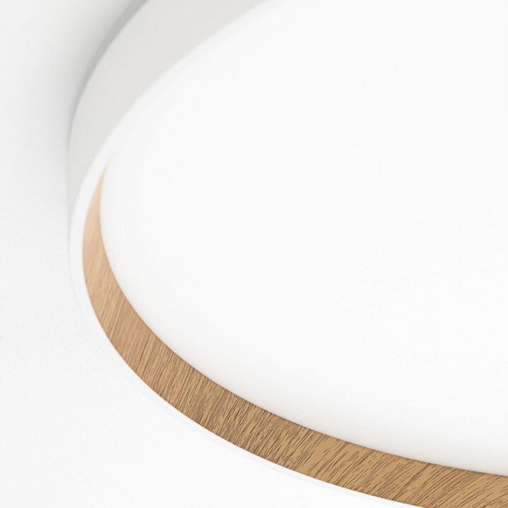 Накладной светильник Citilux ETALON CL750500R