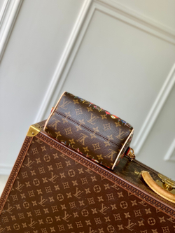 Louis Vuitton Speedy 20