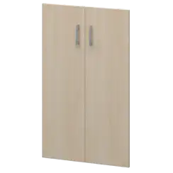 Двери для широких стеллажей А-604.Ф Бук 710x18x1150 Арго