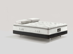 AUDACE ARMONIA MEMOFORM DUAL 12