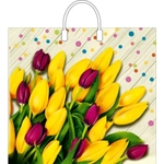 Пакет ПЭ с пластмассовыми ручками 38+10Интерпак ламинация (Ля Ф (комплект 10 шт)