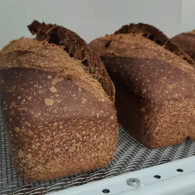 Фотография Хлеб «Северный» с солодом бездрожжевой / 1 кг купить в магазине Афлора