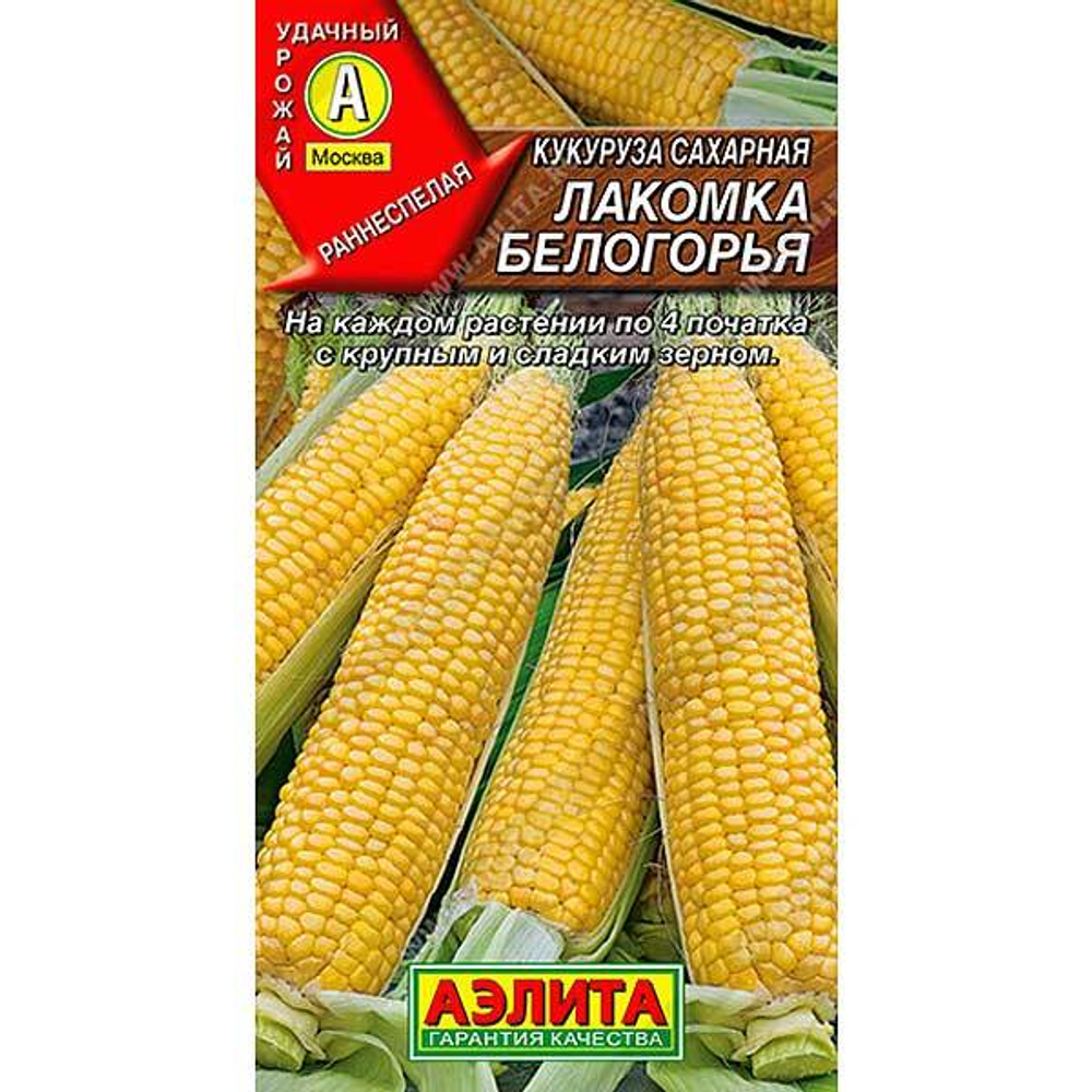 Кукуруза Лакомка Белогорья сахарная