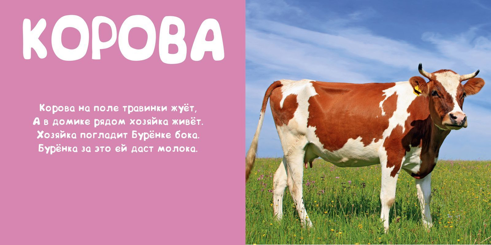 Мои животные