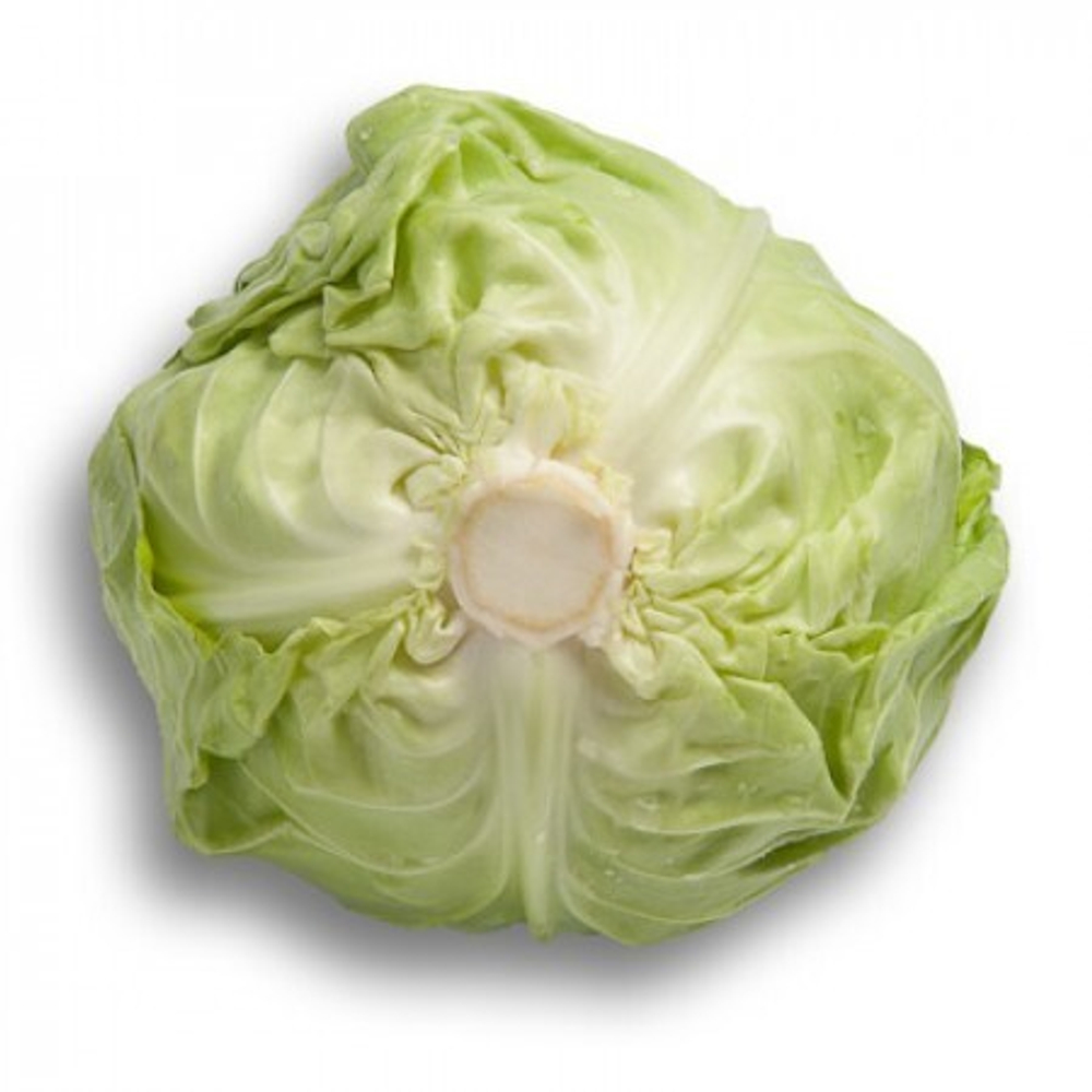 Райма F1 семена капусты белокочанной (Rijk Zwaan / Райк Цваан)