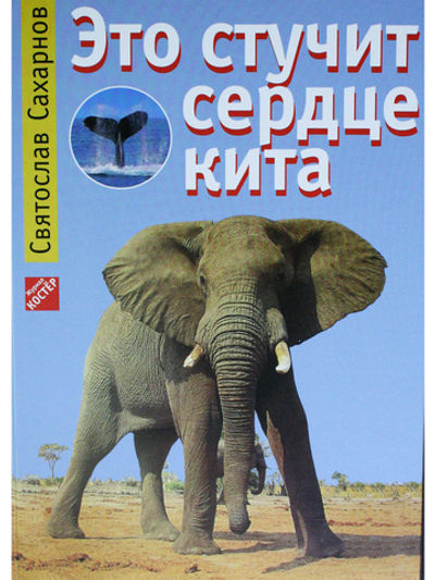 Это стучит сердце кита.