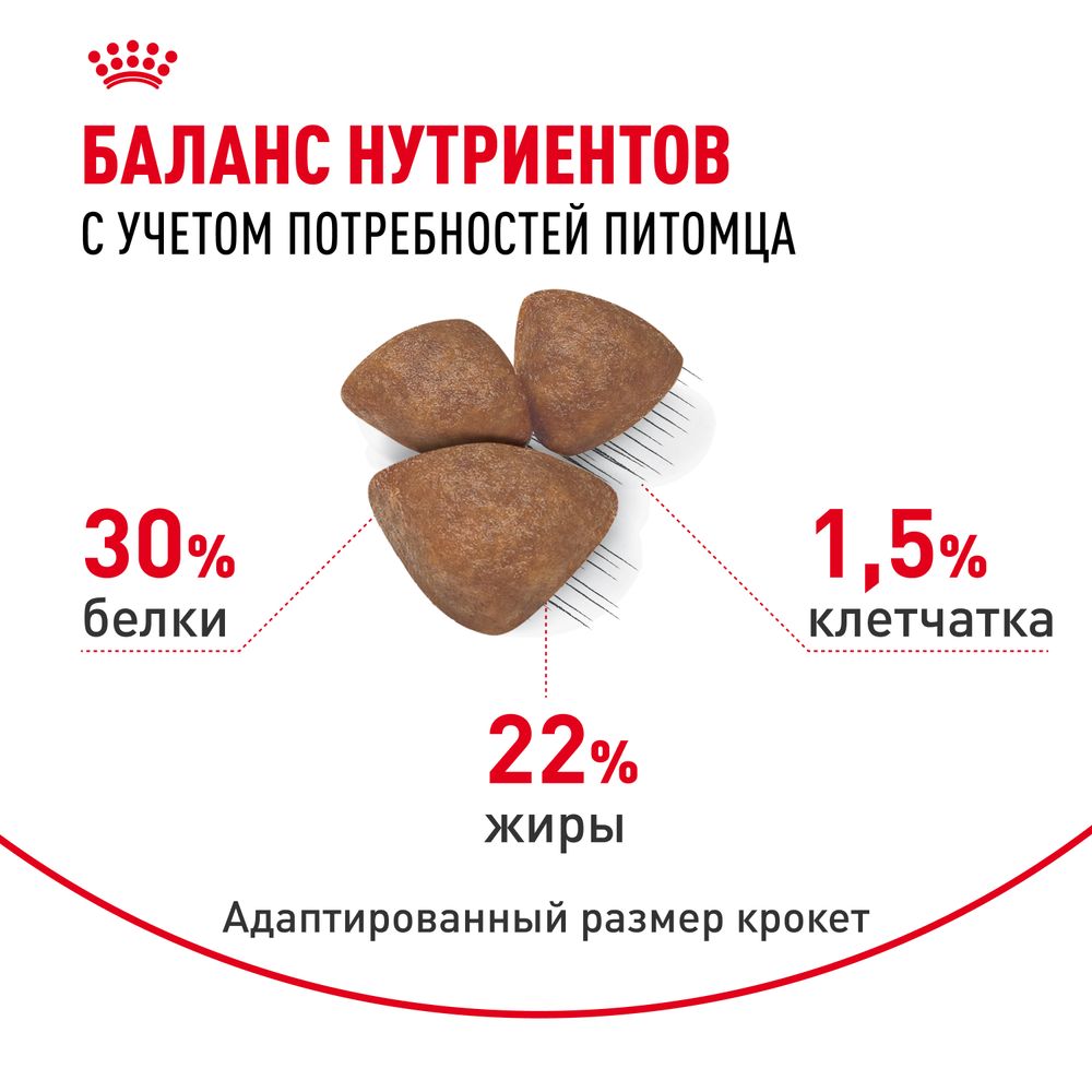 Сухой корм Royal Canin Mini Starter для щенков мелких размеров до 2-х месяцев, беременных и кормящих сук Сухой корм Royal Canin Mini Starter для щенков мелких размеров до 2-х месяцев, беременных и кормящих сук