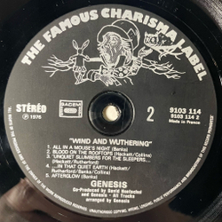 Винтажная виниловая пластинка LP Genesis Wind And Wuthering (France 1976)