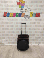 Коляска прогулочная Baballo Future 2024 черные блёски (белая рама)