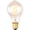 Лампа накаливания Arte Lamp Bulbs 60W E27 прозрачная ED-A19T-CL60