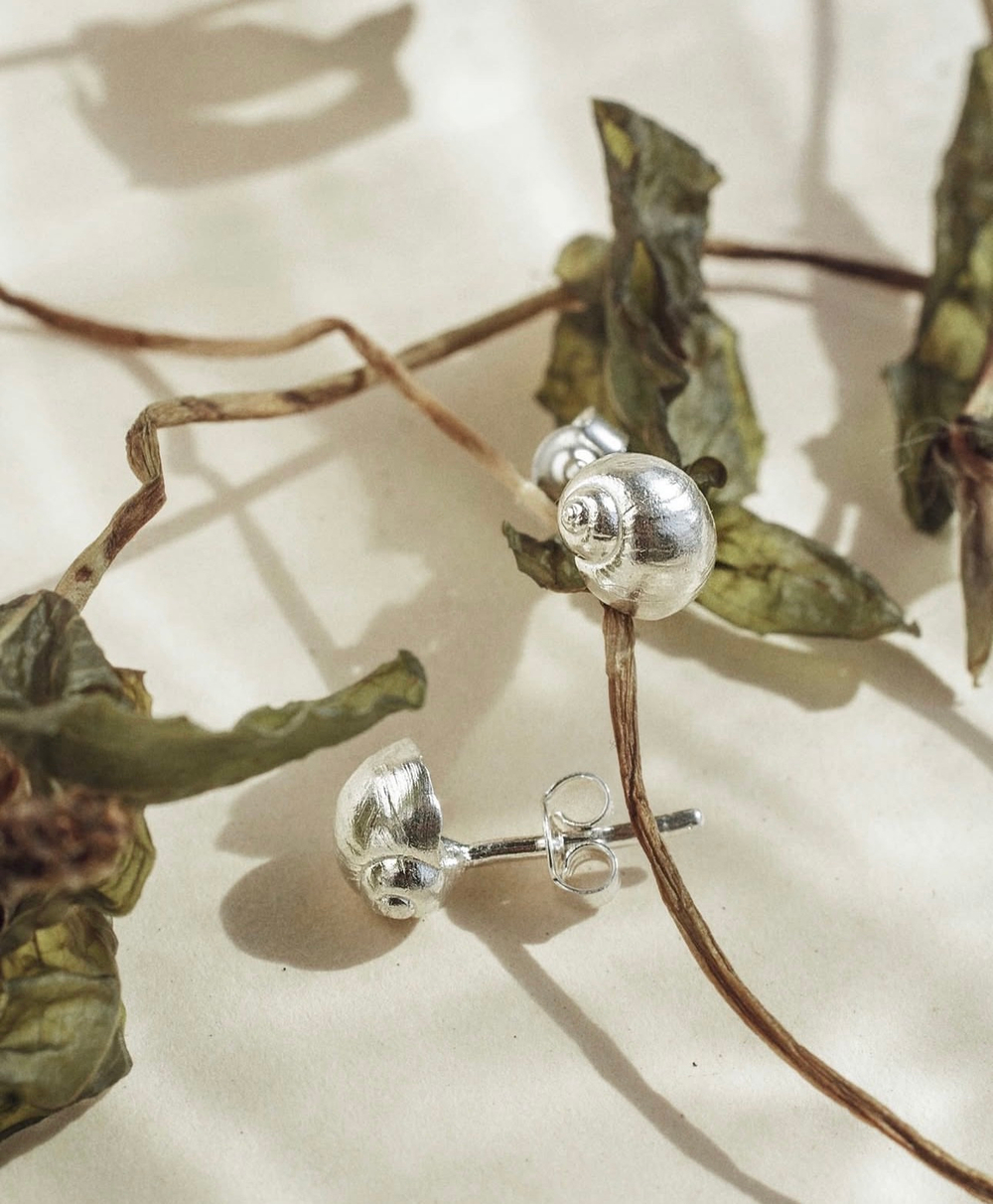 серьги малышки ракушки