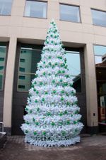 сосна белая уличная "Уральская" каркасная