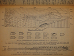 "Нефтяные месторождения Советского Союза". С.Ф.Фёдоров, В.А.Сулин, С.В.Шумилин. 1935г.