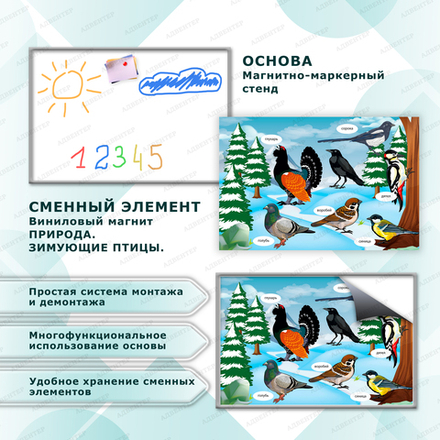 Комплект развивающий ПРИРОДА. ЗИМУЮЩИЕ ПТИЦЫ. 2176