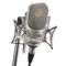 Neumann TLM 107 Nickel