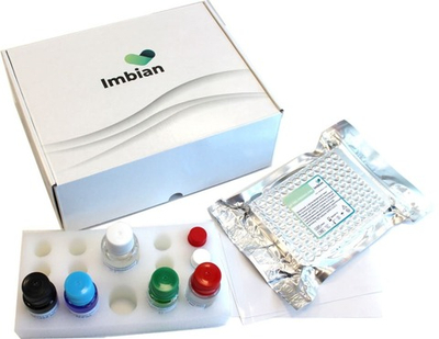 Набор реагентов ИФА, Описторх IgG, 96 определений