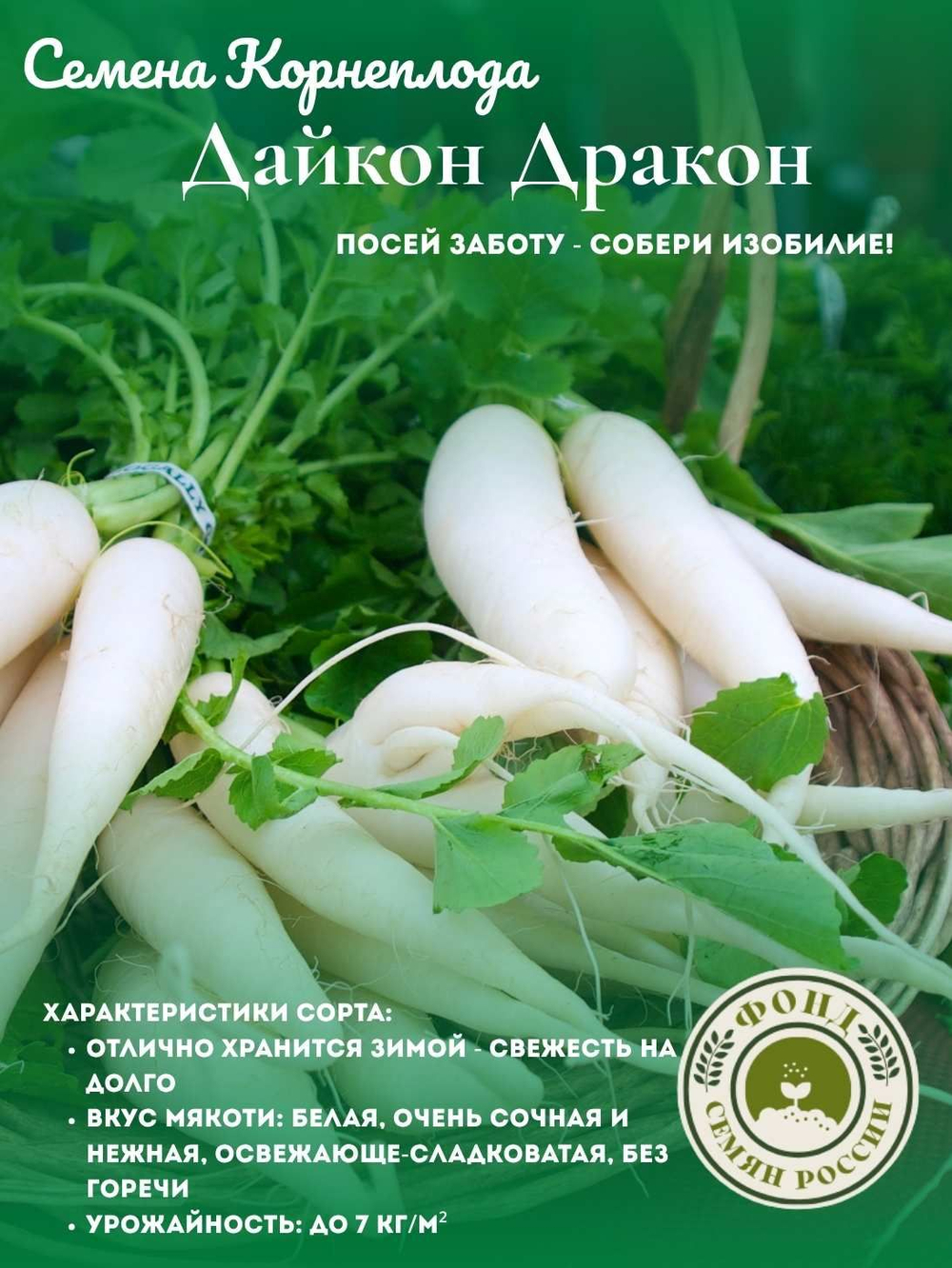 Дайкон Дракон, Семена корнеплода, 1 грамм