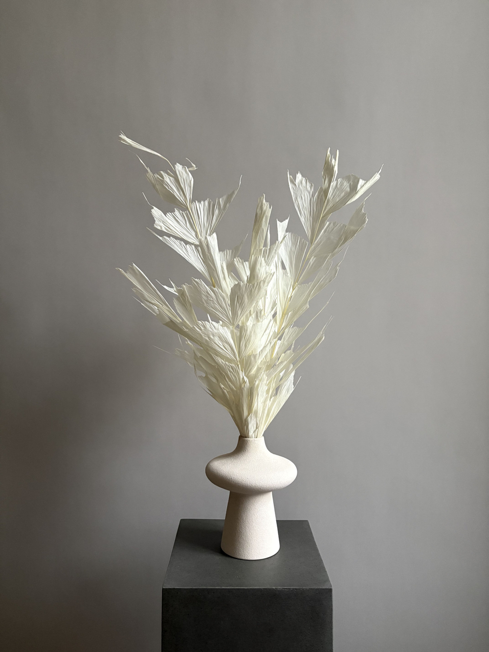 Кариота белая