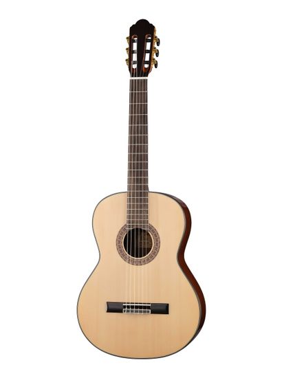 Классическая гитара, Ramis RS-50S-N