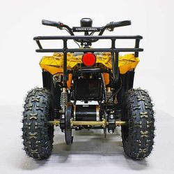 Квадроцикл GreenCamel Гоби K45 (36V 800W R6 Цепь) быстросъем, ножной тормоз электр.